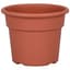 DLN 06.00 COLOR POT TL  CL 98/CS SEASONAL 66CS/PL — thumbnail 2 of 2