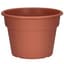 DLN 10.00 COLOR POT 1      CL 58/CS 32CS/PL — thumbnail 2 of 2