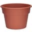 DLN 12.00 COLOR POT 1   CL 28/CS 48CS/PL — thumbnail 2 of 2