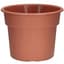 DLN 12.00 COLOR POT 2 TL      CL 40/CS 32CS/PL — thumbnail 2 of 2