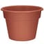 DLN 14.00 COLOR POT              CL 20/CS 36CS/PL — thumbnail 2 of 2