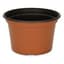 DLN 08.00X05.00 MUMPAN COEX TC/BLK 170/CS 45CS/PL — thumbnail 2 of 2