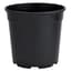 DLN 01.00QT PEREN POT T/W TL  BLK 475/CS 33CS/PL — thumbnail 2 of 2