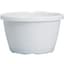 DLN 12.00 TRAD SL HB NO HGR      WHT 50/CS 28CS/PL — thumbnail 2 of 2