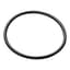NET O-RING FOR 3/4IN ARKAL FILTER 25AP530140 — thumbnail 2 of 2