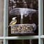 Droll Yankee 7"x3"x2" Observer Window Feeder — thumbnail 2 of 2