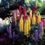 LUPINE, RUSSELLS MIXTURE LBS — thumbnail 2 of 2