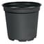 POPP VCC 12 F US-0475 BLK 1440/CS — thumbnail 2 of 2