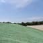 American Excelsior Curlex Single Quick Grass 4'x100' — thumbnail 2 of 2