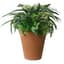 Algreen 16" Olympus Self Water Planter Terra Cotta — thumbnail 2 of 2