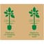 Paper Trunk Liner 38" Thank You 300 Sheets 1100ft Roll Cut to Size — thumbnail 2 of 2