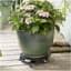 TDI Medium Round Aluminum Plant Caddy Black — thumbnail 2 of 2