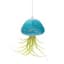 APM Air Plant Jellyfish Teal/Gold — thumbnail 2 of 2
