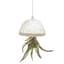 APM Air Plant Jellyfish White/Gold — thumbnail 2 of 2