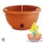 Apollo 12" Eezy Gro Hanging Basket Terra — thumbnail 2 of 2