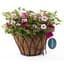 Austram 14" Lotus ProGro Planter Black with Hanger — thumbnail 2 of 2