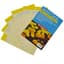 BASF Sensor Yellow Sticky Cards 3"x5"  50/PK (15/Cs) — thumbnail 2 of 2