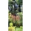 Brome Bird Care 4.6"x4.1"x41.3" SquirrelBuster Versa Pole System — thumbnail 2 of 2