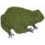 Braun 6" Frog Mossed — thumbnail 2 of 2