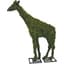 Braun 38" Giraffe Mossed — thumbnail 2 of 2