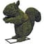 Braun 12" Squirrel Mossed — thumbnail 2 of 2