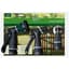 Orbit 3pc Nozzle Set with Rear Trigger Zinc Green — thumbnail 2 of 2