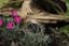 Moonrays 2pk Solar Lawn/Deck Light — thumbnail 2 of 2