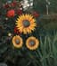 Moonrays Solar Sunflower Stick Light — thumbnail 2 of 2