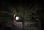 Moonrays Black Spotlight - Large — thumbnail 2 of 2