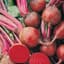 Beets, Detroit Dark Red 25lb — thumbnail 2 of 2