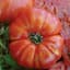 Tomato, Beefsteak 1/2lb — thumbnail 2 of 2