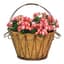 Deer Park Wave Basket w/ Coco Liner — thumbnail 2 of 2