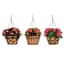 Deer Park Blk Hanging Basket Variety Pk 2 Floral Daisy Ribbon Arch — thumbnail 2 of 2