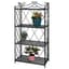 Deer Park XXX Plant Stand Black — thumbnail 2 of 2