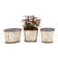 Deer Park 18pc Venetian Planter Mixed Variety Pack - 6 Each Square Oval Round — thumbnail 2 of 2
