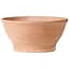Deroma 10.6" Bowl Smooth Cache Blush Clay Case Pack — thumbnail 2 of 2