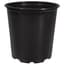DLN 19.00 CM TALL EURO POT COEX BLK/BLK 132/CS 36CS/PL — thumbnail 2 of 2