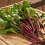 Beets, Bull's Blood 1/2lb — thumbnail 2 of 2