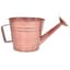 Grower Select 7.50 Watering Can Planter Copper 12/CS — thumbnail 2 of 2