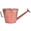 Grower Select 10.00 Watering Can Planter Copper 12/CS — thumbnail 2 of 2