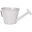 Grower Select 10.00 Watering Can Planter Acid Wash 12/CS — thumbnail 2 of 2