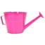 Grower Select 10.00 Watering Can Planter Fuchsia 12/CS 48CS/PL — thumbnail 2 of 2