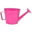 Grower Select 7.50 Watering Can Planter 12/CS Fuchsia R004 — thumbnail 2 of 2