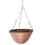 Gardener Select 12" Plastic Round Hanging Basket Rust 24/CS — thumbnail 2 of 2