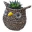 Gardener Select 7" Small Owl Rattan Rope Topiary 12/CS — thumbnail 2 of 2