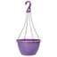 Grower Select 13.00 Everest Hanging Basket, With 18in Hanger, Blush Raisin, 64 per Case, 12.99in OD x 7.48in H, 2.8 Gallon — thumbnail 2 of 2