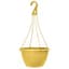 Grower Select 13.00 Everest Hanging Basket, With 18in Hanger, Blush Sunglow, 64 per Case, 12.99in OD x 7.48in H, 2.8 Gallon — thumbnail 2 of 2