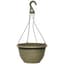 Grower Select 12.00 Boxwood Hanging Basket ACP Aged Cappuccino with Hanger 50/CS — thumbnail 2 of 2