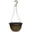Grower Select 12.00 Boxwood Hanging Basket Mahogany with Hanger 50/CS — thumbnail 2 of 2
