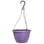 Grower Select 10.00 Everest Hanging Basket, With 18in Hanger, Blush Raisin, 70 per Case, 10.08in OD x 6.99in H, 1.5 Gallon — thumbnail 2 of 2